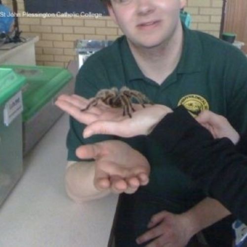 Wirral Herpetological Society (10).jpg